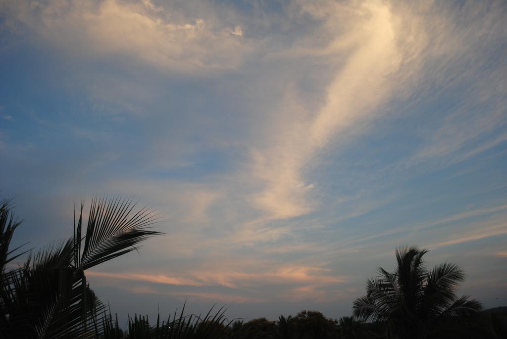 Vinodhara Guest House Mahabalipuram Ngoại thất bức ảnh